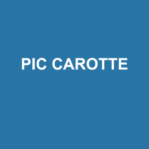 Catégorie_pic_carotte